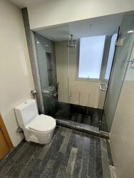8 @ Mount Sophia (D9), Condominium #539430521